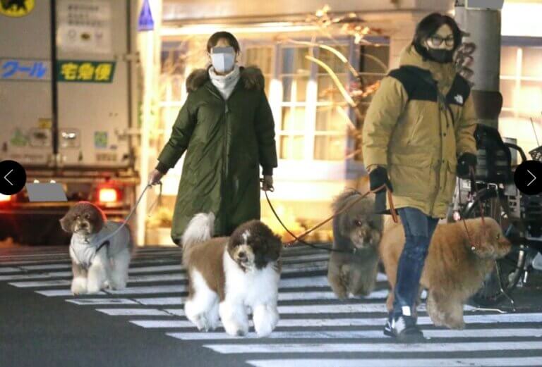 B’z・稲葉浩志さん、犬との散歩をFRIDAY V系まとめ速報